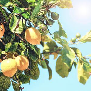 网站污黄操逼wwwwwwwwxxx
